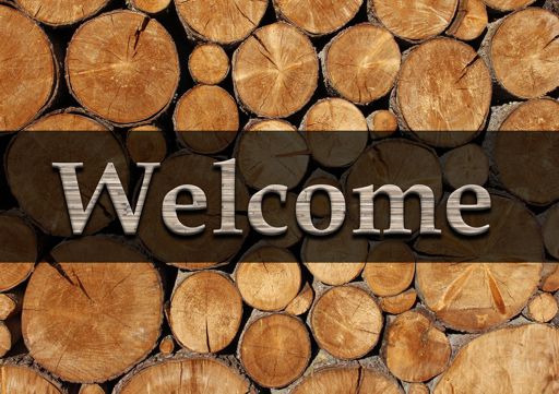 welcome_holz_5_512x361.jpg